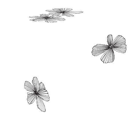 Sticker by Jinny Ngui Design