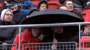 GIF by FOX Sports