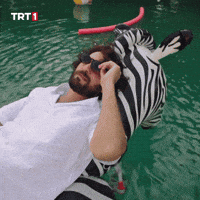 Birkan Sokullu Peace GIF by TRT