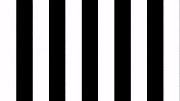 Celebration Goal GIF by SK Sturm Graz