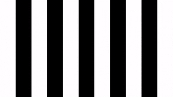 Goal Tor GIF by SK Sturm Graz