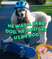 Cool Dogs GIF by jOnNy'S wOrLd