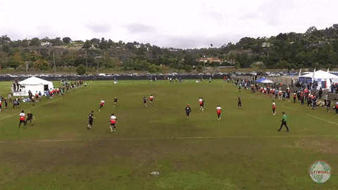 flikulti ultimate frisbee flik GIF
