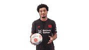 Bayer Leverkusen Football Sticker by Bundesliga