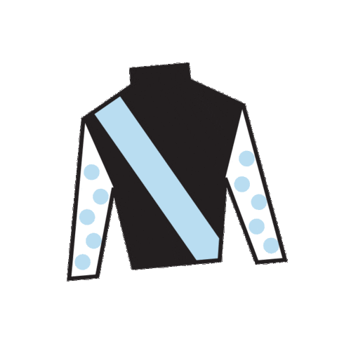 Meaning Horse Racing Sticker by Kentucky Derby