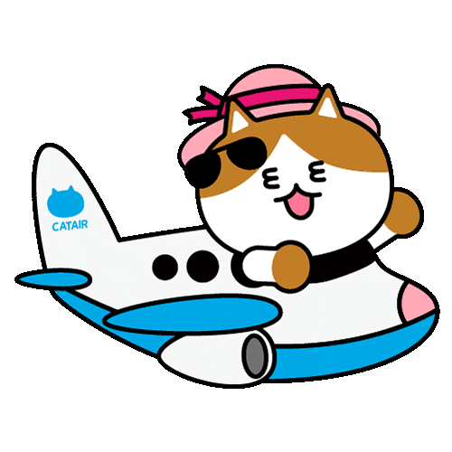 Cat Kitty Sticker by 궁디팡팡 캣페스타