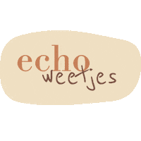 Planning Echo Sticker by chicchic_nl