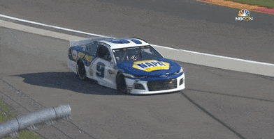 Happy Chase Elliott GIF by NASCAR