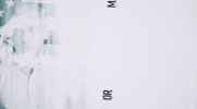 wolves the violence GIF by Rise Against