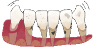 Odonto Periodoncia Sticker