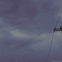 Art Love GIF by dualvoidanima