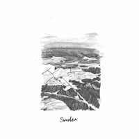 Art Illustration GIF by sophiaqin