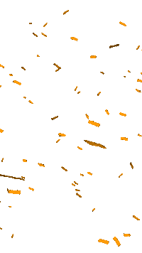 Carnaval Confetti Sticker by B on Stage