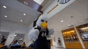 Goldeneagles Hotwyngz GIF by St. Joseph's University New York