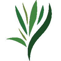 Merry Christmas Sticker by Total Neem