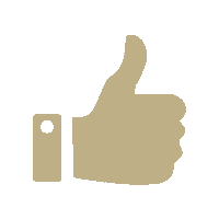 C21 Thumbs Up Sticker by Vanilla Vice