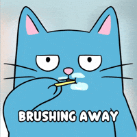 Getting Ready Blue Cat GIF