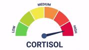 Cortisol GIF