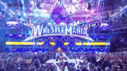 daniel bryan wrestling GIF by WWE