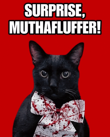 mannycat dexter black cat doakes surprise motherfucker GIF