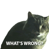 Neil Gaiman Cats Sticker by NETFLIX
