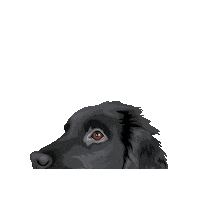 Hastingspp Sticker by Pickle's Pawtraits