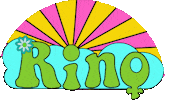 Rinogif Sticker by rino.se