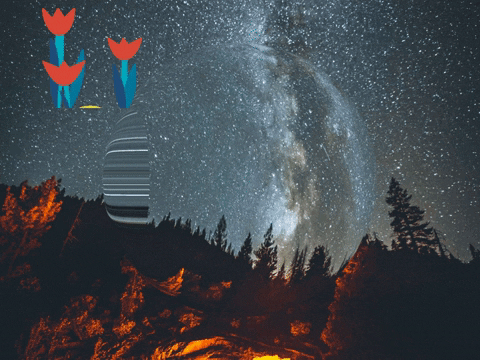 Germany Wow GIF by FranchiseCHECK.de