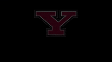 youngstownstate graduation commencement ysu youngstown state GIF