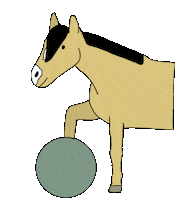 paardvrolijk horse paard positive reinforcement happy horse Sticker