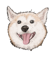 Dog Puppy Sticker