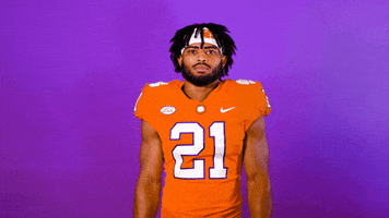 All In Wow GIF by Clemson Tigers