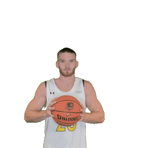 Mens Basketball Sticker by Clarke University