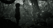 jon favreau disney GIF by Disney's The Jungle Book
