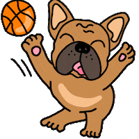 fun dog Sticker by Ivo Adventures