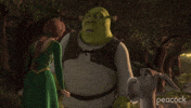 Shrek Film Oops GIF by Peacock