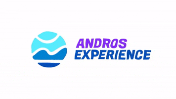 swimmingclub swimming experience andros swimmingclub GIF