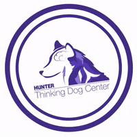 HunterTDC tdc thinking dog center hunter tdc GIF