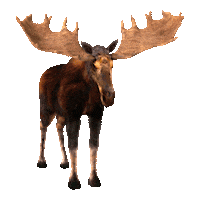 crowder music i know a ghost Sticker by Crowder