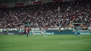 Football Spoon GIF by Ascoli Calcio 1898
