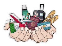 Proyecto Sticker