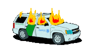 Border Patrol Fire Sticker by deladeso