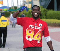 Pittsburgh Steelers GIF by NFL