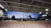 Gym Health GIF by Casol
