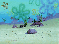 season 1 episode 3 GIF by SpongeBob SquarePants