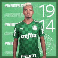 Dance Soccer GIF by SE Palmeiras