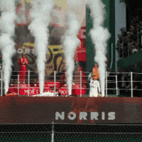 Formula 1 Win GIF