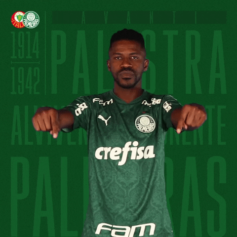 Puma Palestra GIF by SE Palmeiras