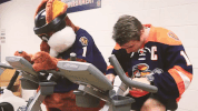 hockey mascot GIF by Greenville Swamp Rabbits