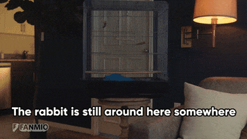 Monty Python Rabbit GIFs - Find & Share on GIPHY